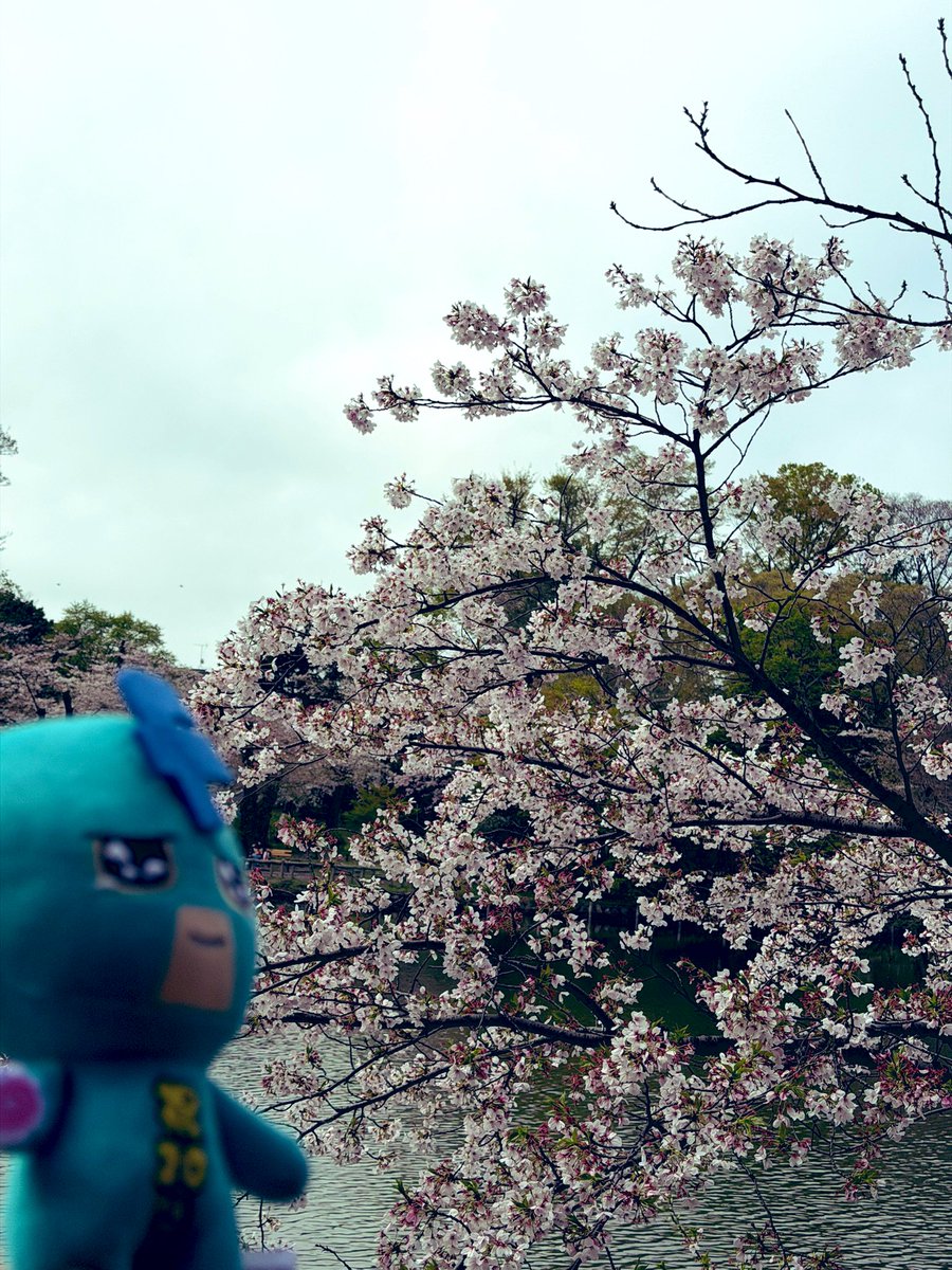 tomo(AHS) tweet media