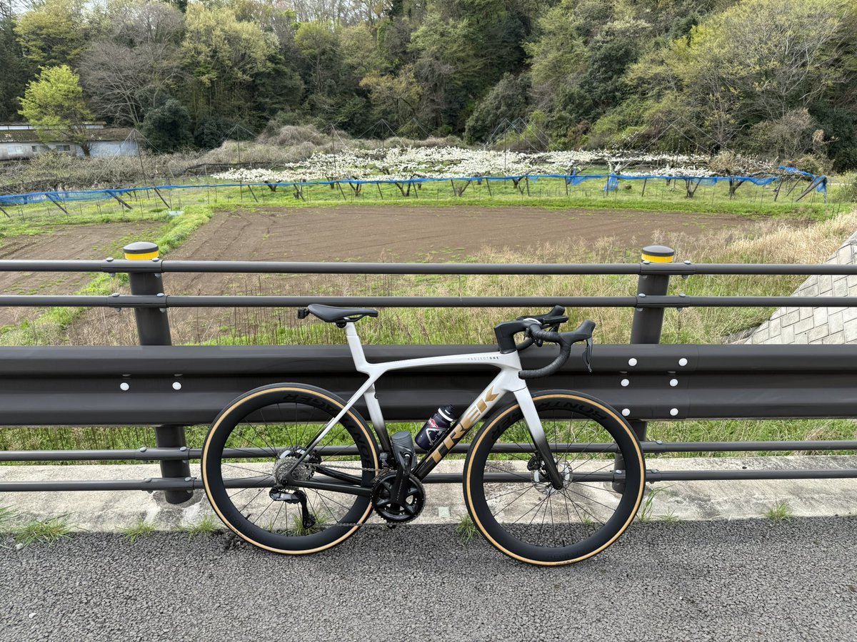 100_Colors's tweet photo. いよいよ健康診断

#ロードバイク 
#PROJECTONE 
#TREK 
#Madone 
#MadoneSLR https://t.co/2vKuOwMlBO