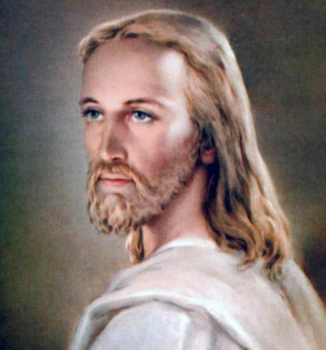 溫村老石🇨🇦 tweet media