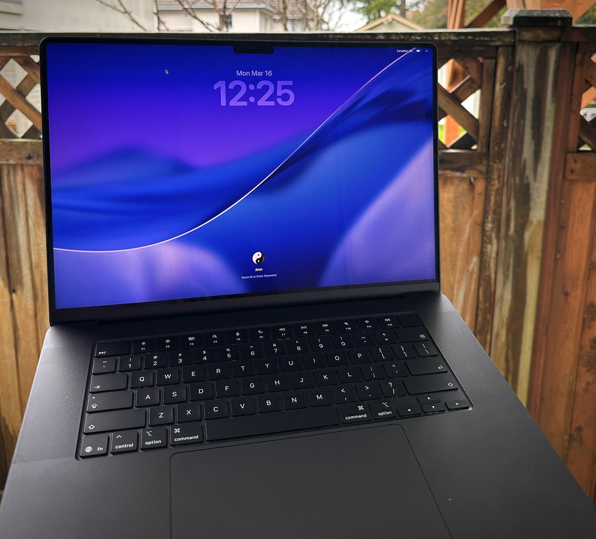 Amn || Designer tweet media