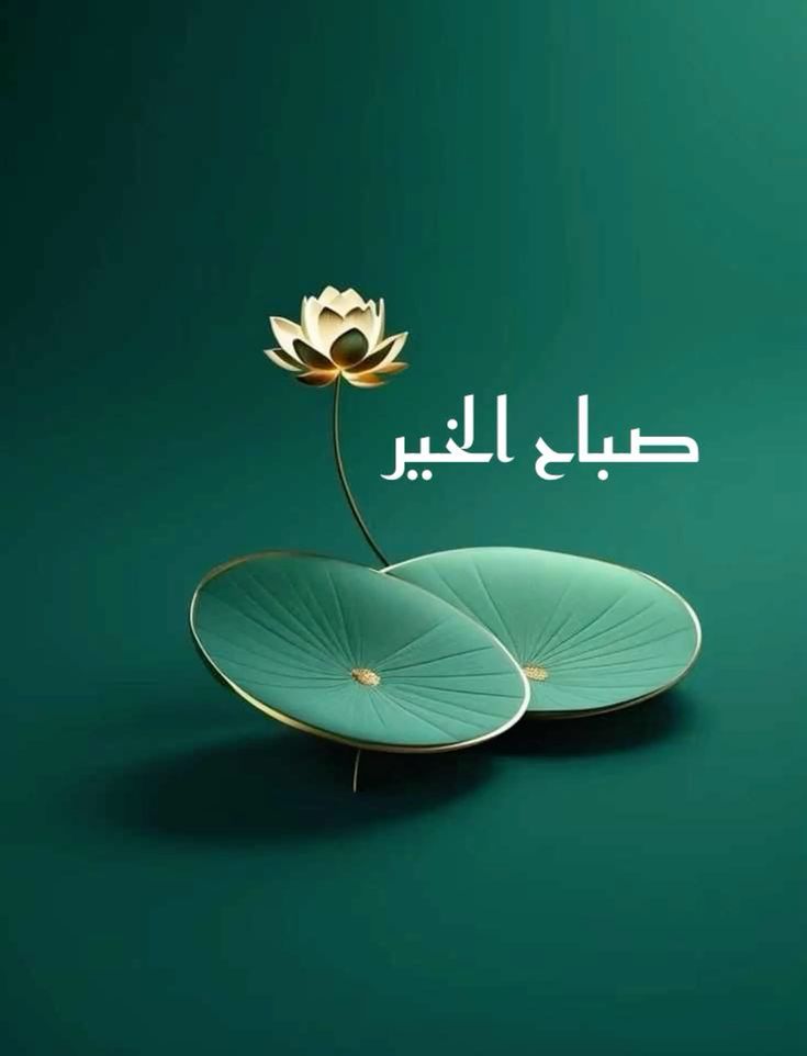 🇪🇬𝕸𝒐𝒉Ⓐ𝕸𝒆𝒅 🇪🇬 tweet media