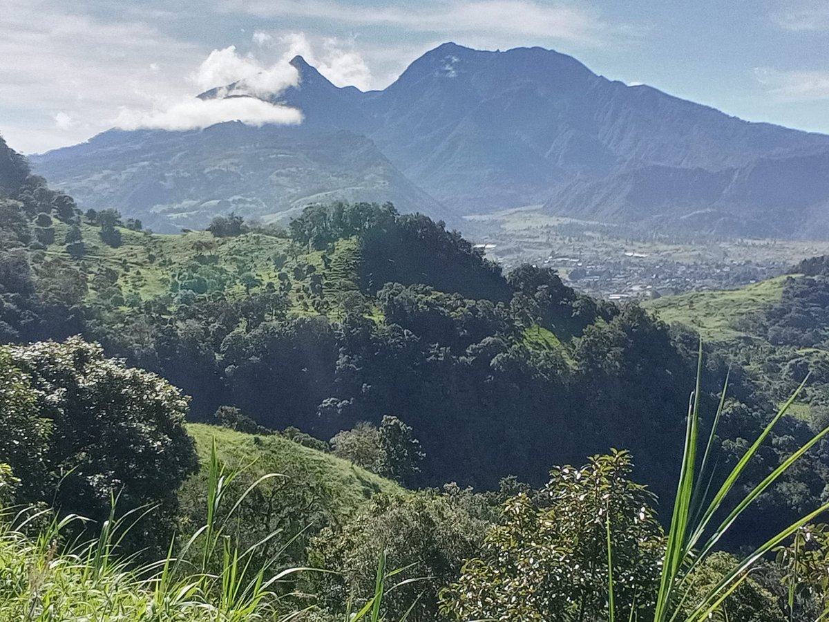 RyanBiddulph's tweet image. Follow experienced bloggers to avoid making bone-headed errors. Struggling bloggers slam into resistance routinely. Pros guide 'em around obstacles by pointing out errors and offering corrections. Nudge your ego to the side. Listen to pros. Succeed. 

#bloggingtips