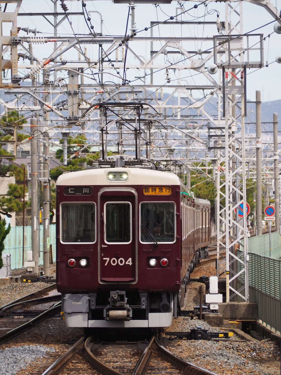 酢@4/12旅チケット tweet media