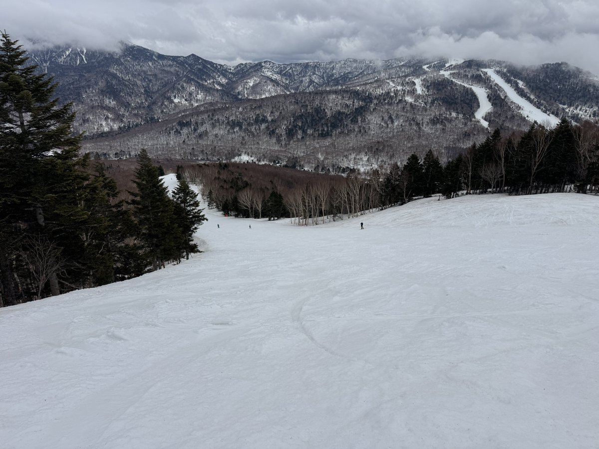 zyklonさんはスキーシーズン中 tweet media