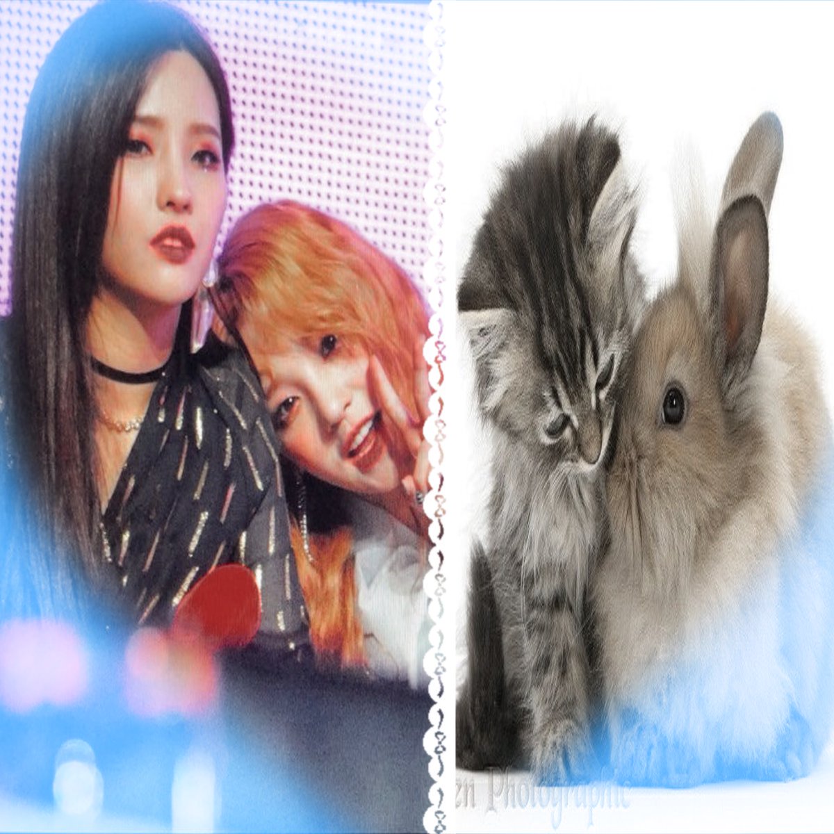 ૮ › ˕‹ ა𐑼 ♥︎ ฅ(ᵔ꒳ ᵔマ tweet media