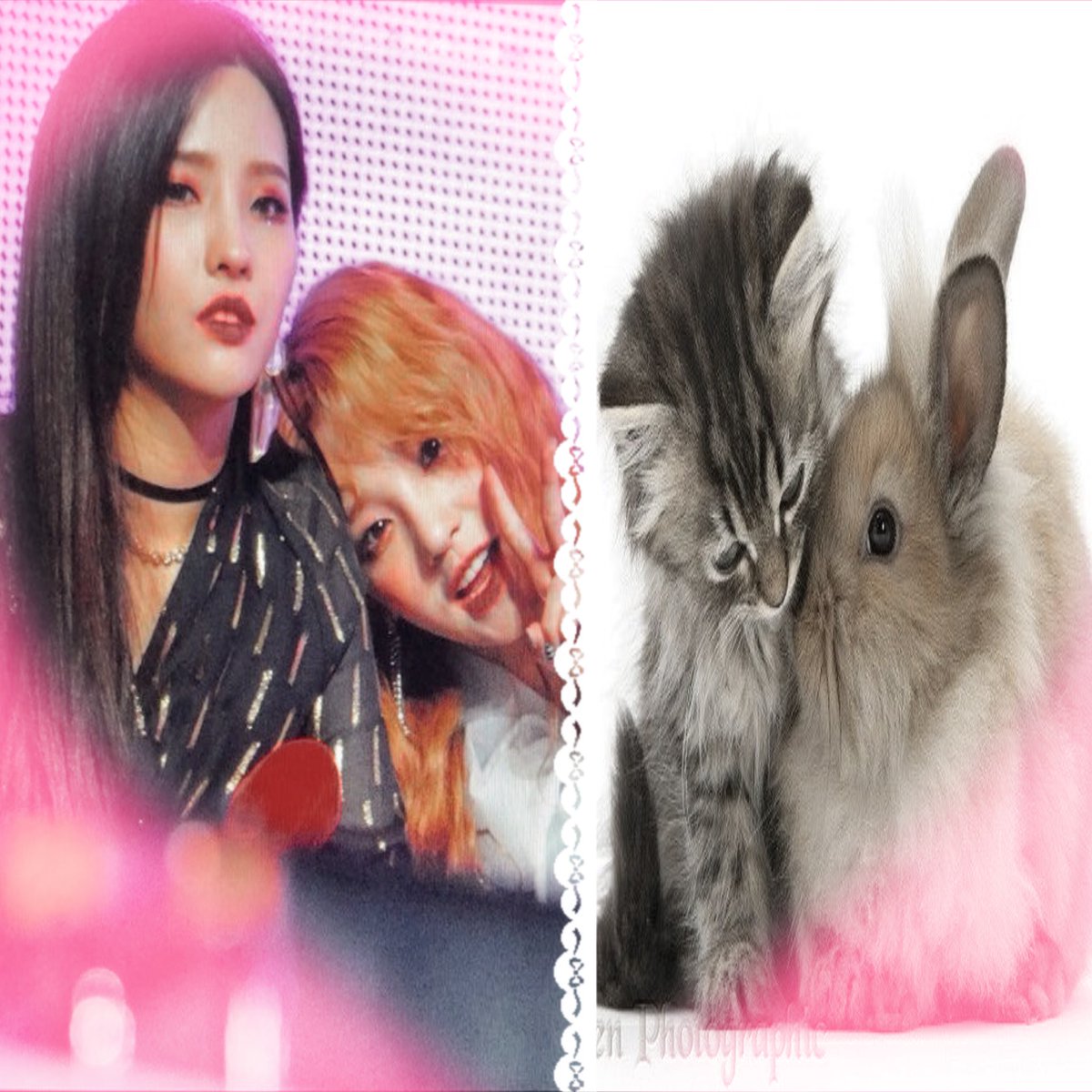 ૮ › ˕‹ ა𐑼 ♥︎ ฅ(ᵔ꒳ ᵔマ tweet media