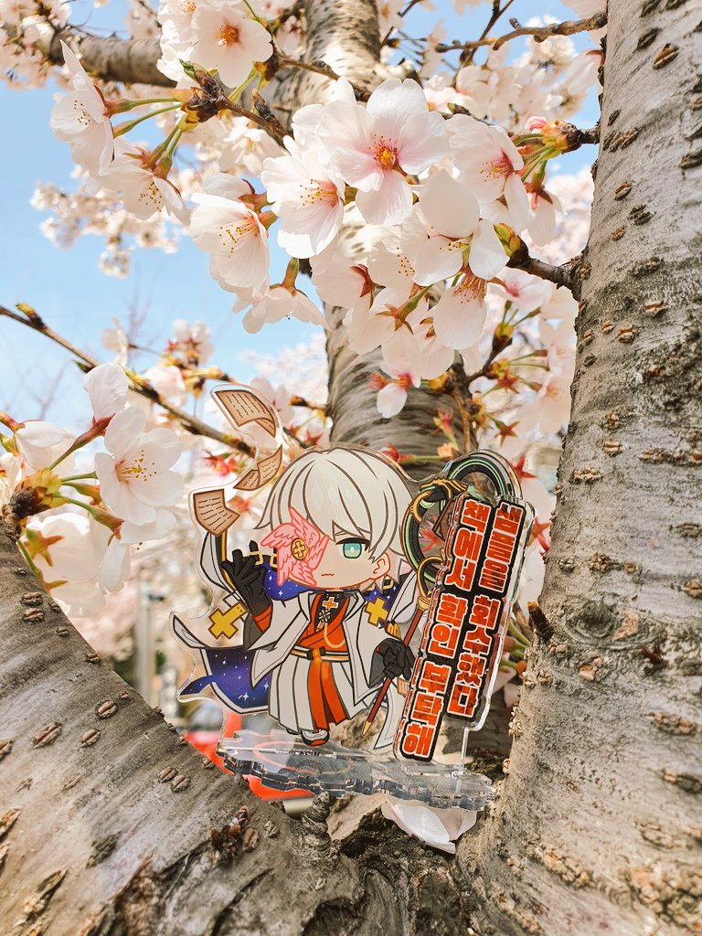 たけがきにたけたてかけたのはたけたてかけたかったからたけたてかけた tweet media