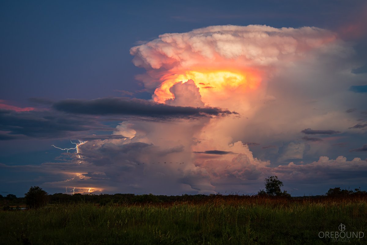 Jason H (AU) 🇦🇺 tweet media