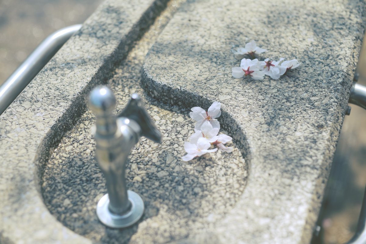 Марусский tweet media