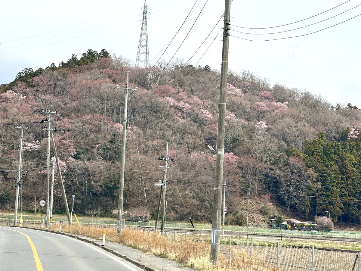オオ❗️
カイカカッ‼️🌸

@河北area