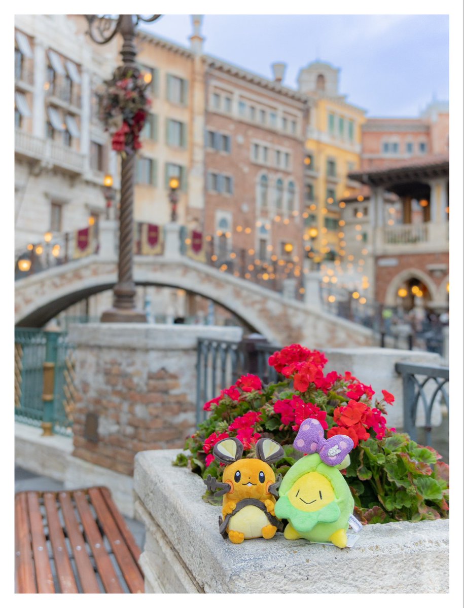 𝚝𝚘𝚐𝚞 tweet media