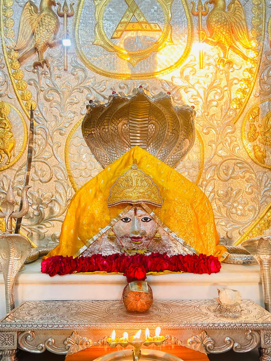 शेर सिंह राठौड़ (सेतरावा)🇮🇳 tweet media