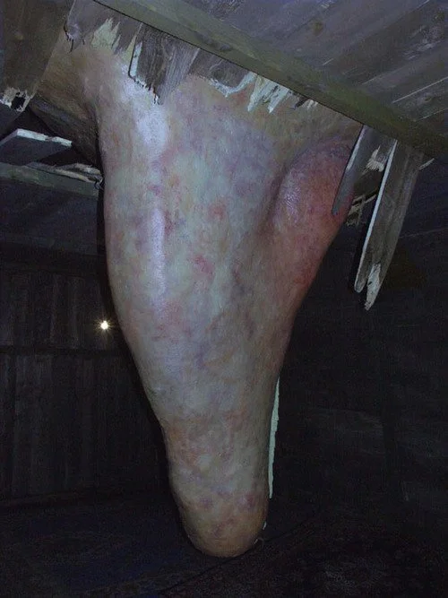 🕷️🕸️DBMALACHITE 🕸🕷️ tweet media