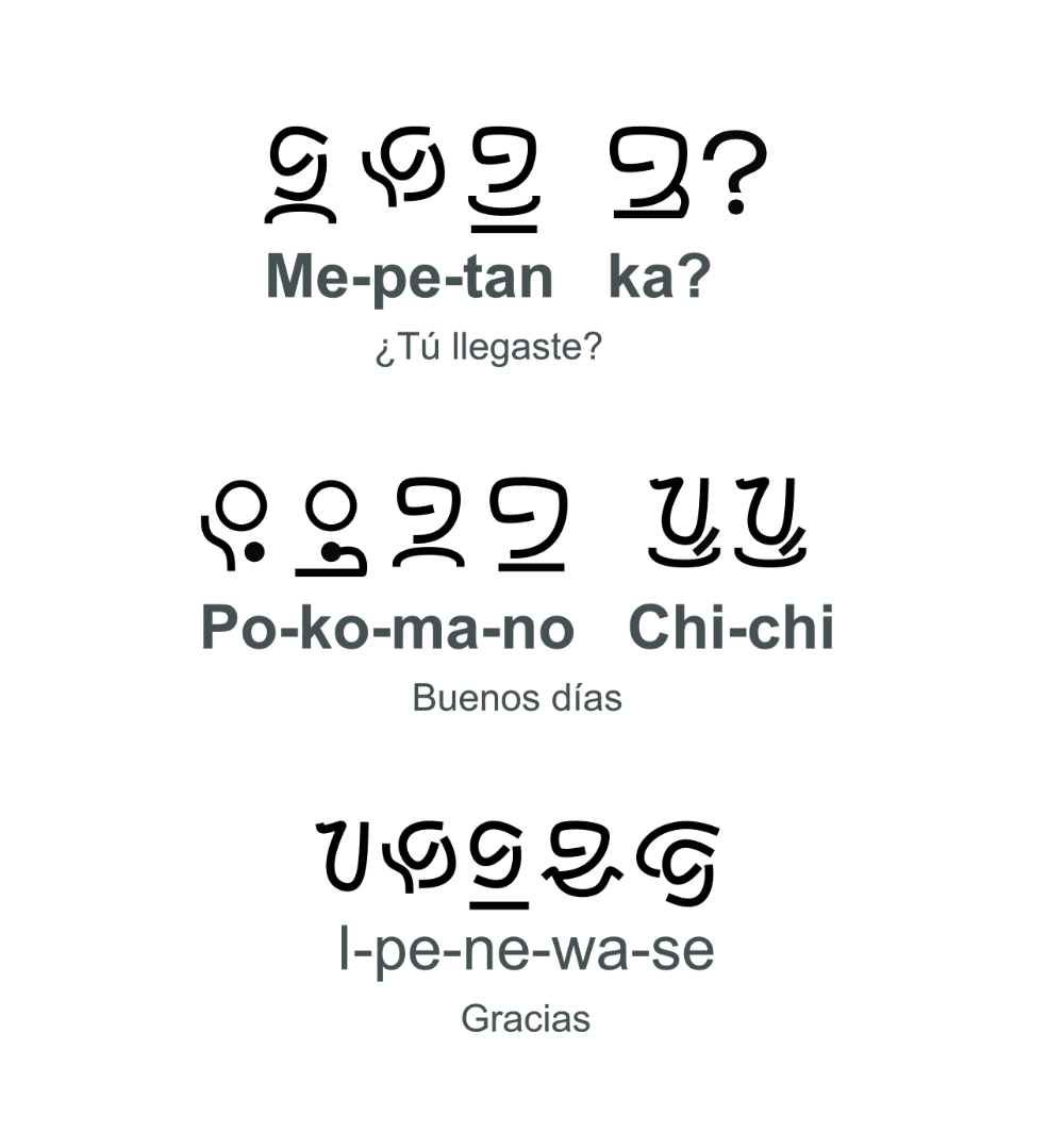 Nostosego tweet media