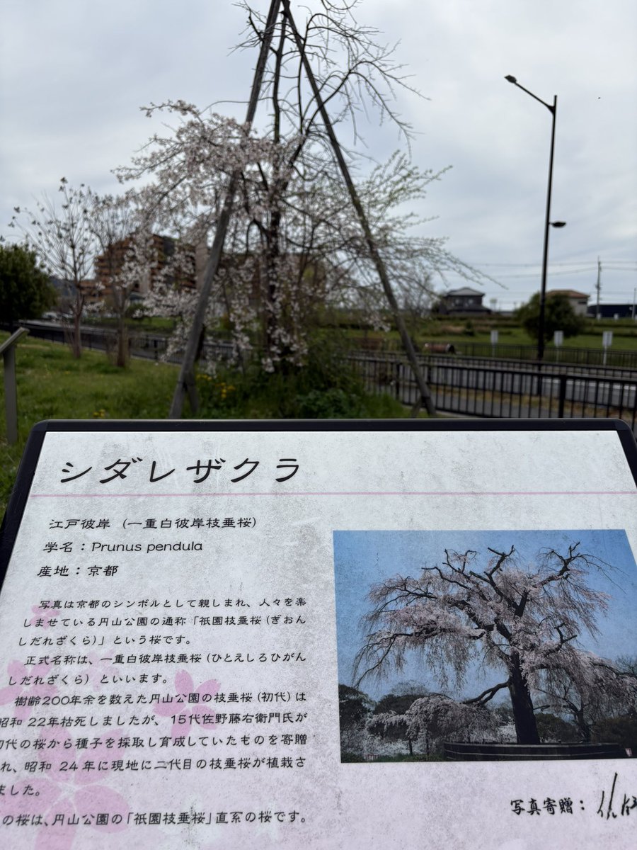 けいいちろう tweet media