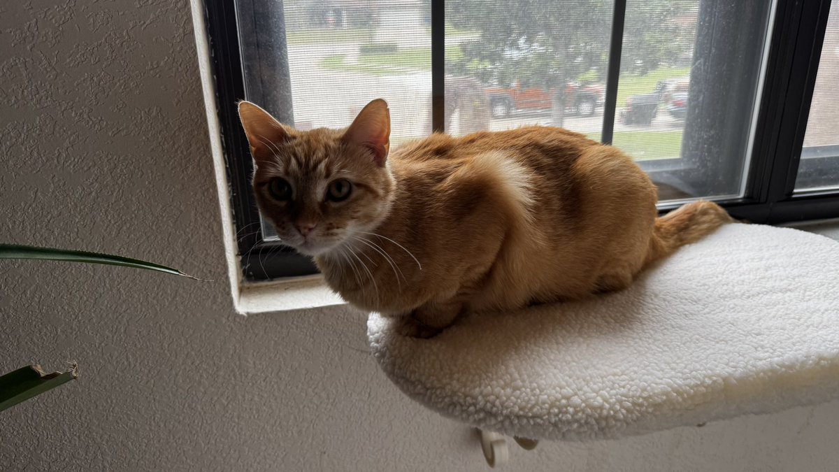 3_Bike_Mike tweet media