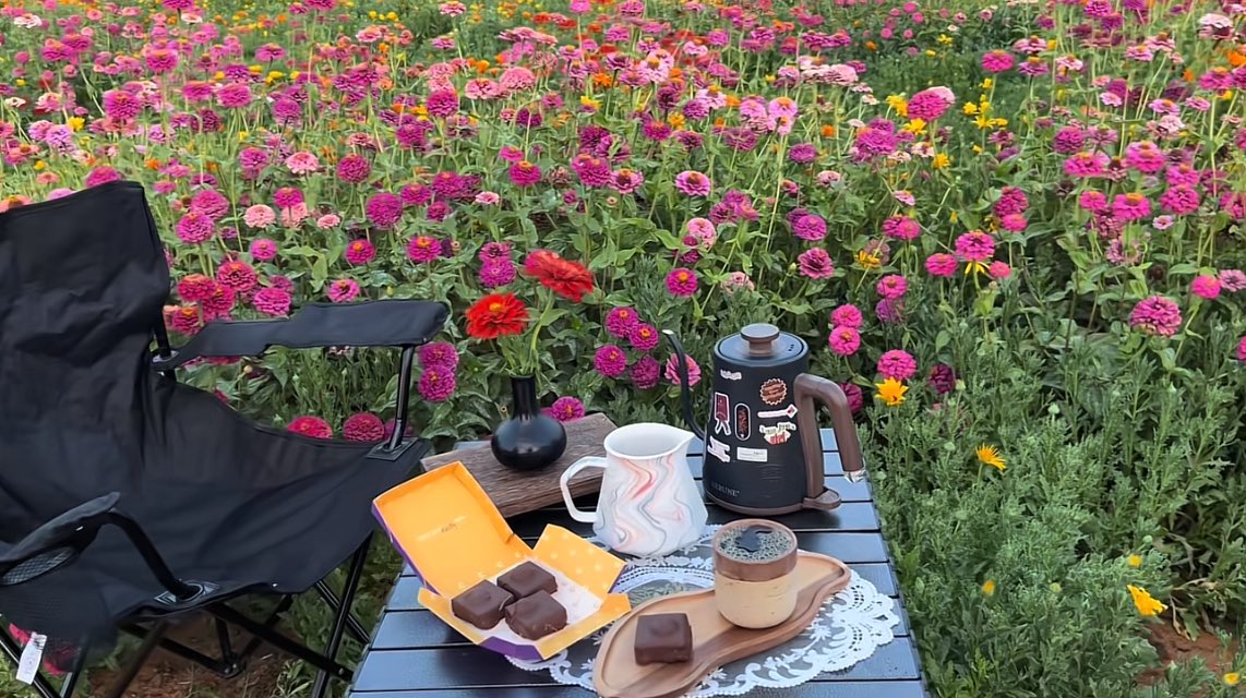 ميّم tweet media