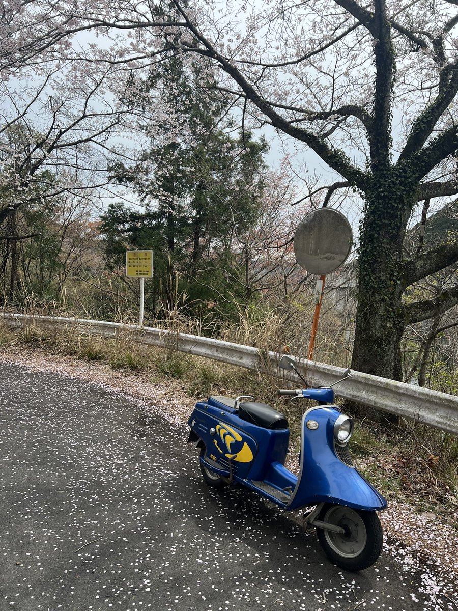 マツコSP低浮上 tweet media