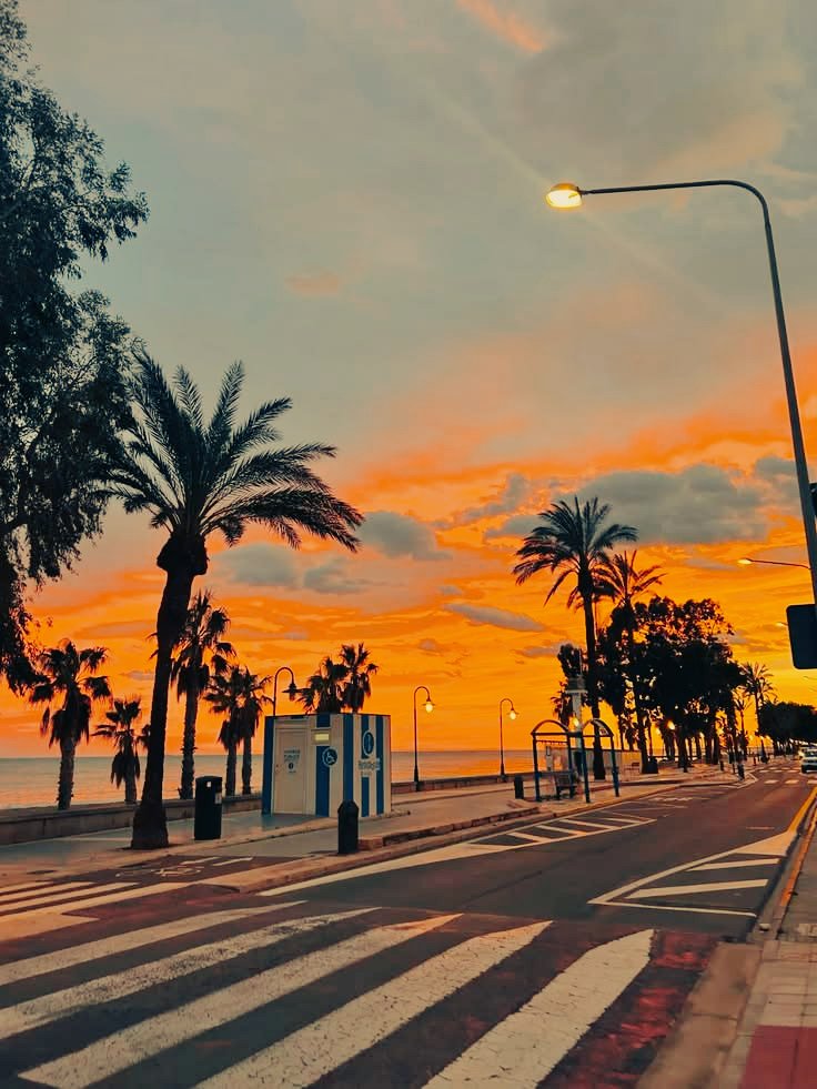 loveofsunset's tweet photo. A beautiful sunset with trees and nature🌴 https://t.co/z48HDXiQpJ