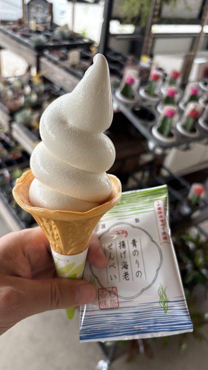 ずん… tweet media