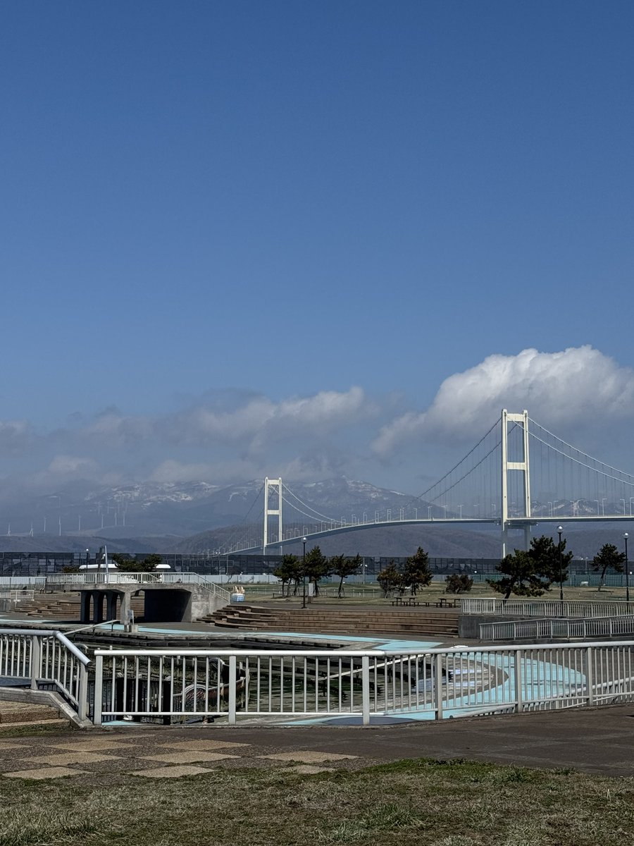 りす@お茶 tweet media