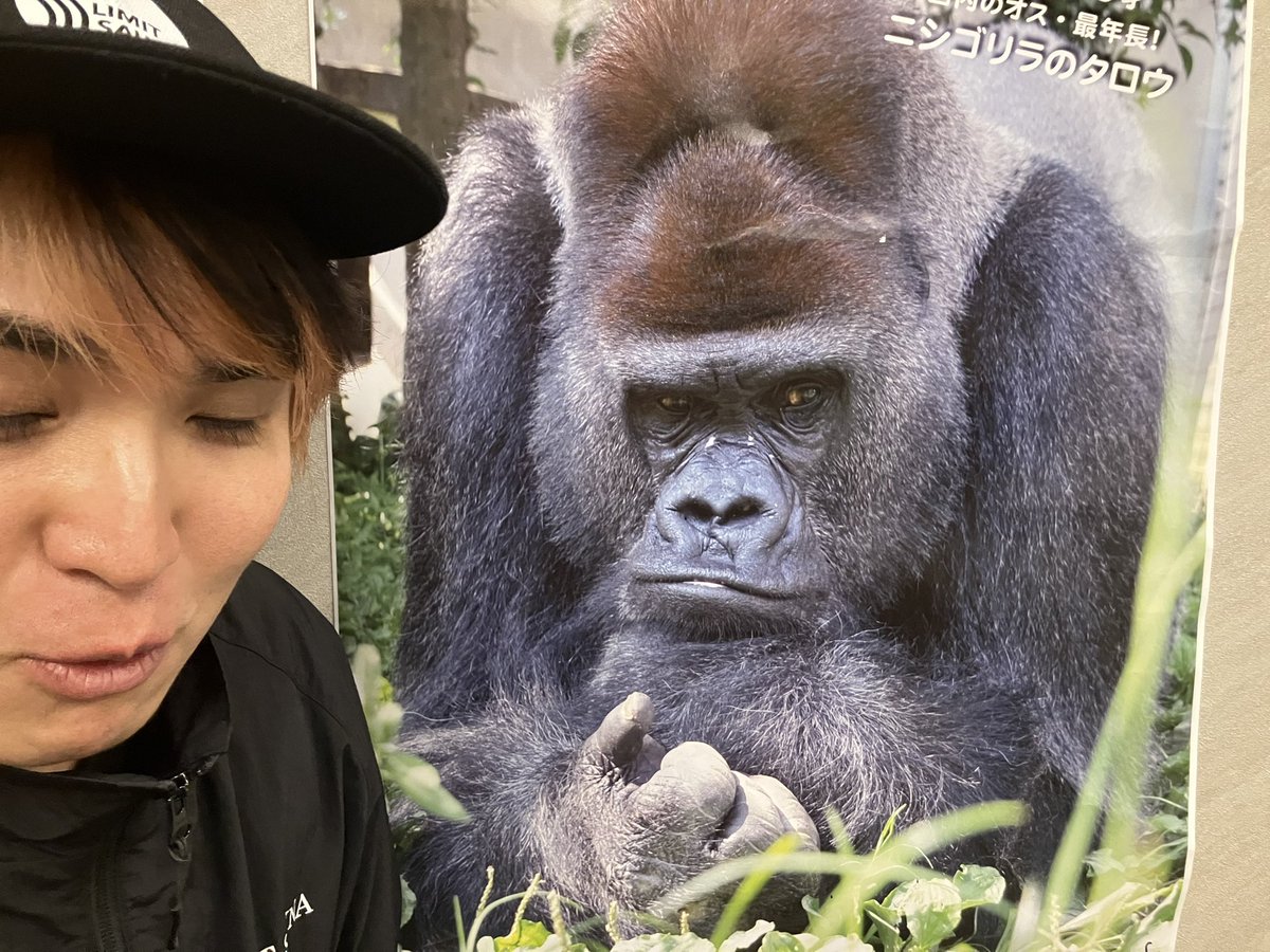 びーふ🐮( ◠‿◠ )🈂️ tweet media