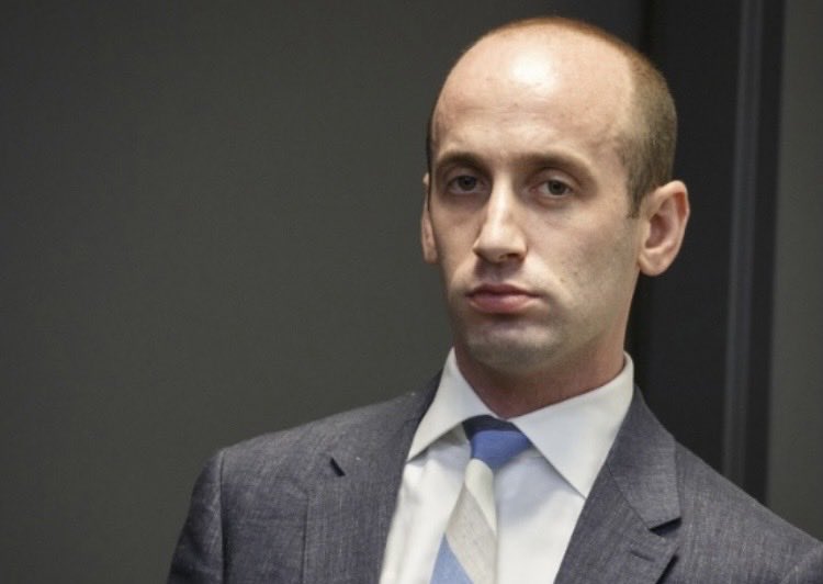 Suzie rizzio tweet media