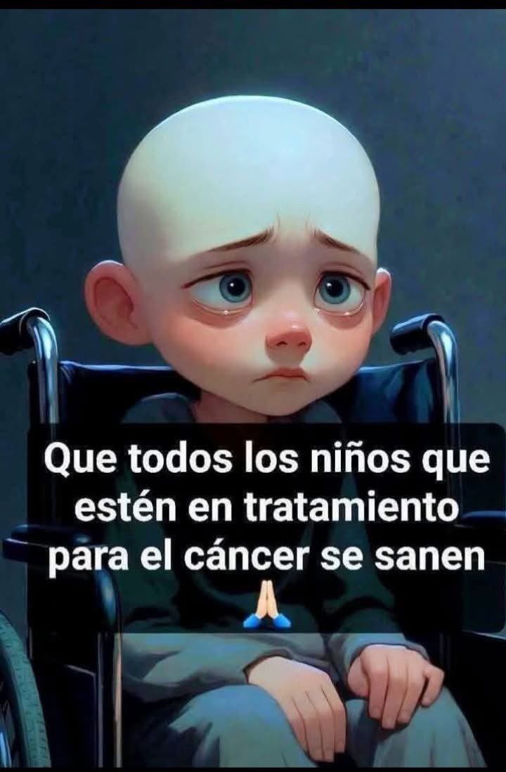 Valores Democraticos tweet media