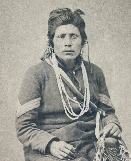 Bora's Wife tweet media