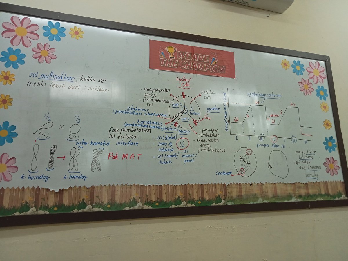naynapple²7 💊🩻🫙🫧 tweet media
