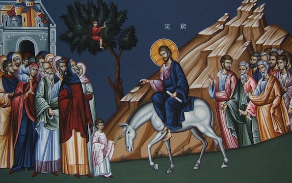 Бели Вук tweet media