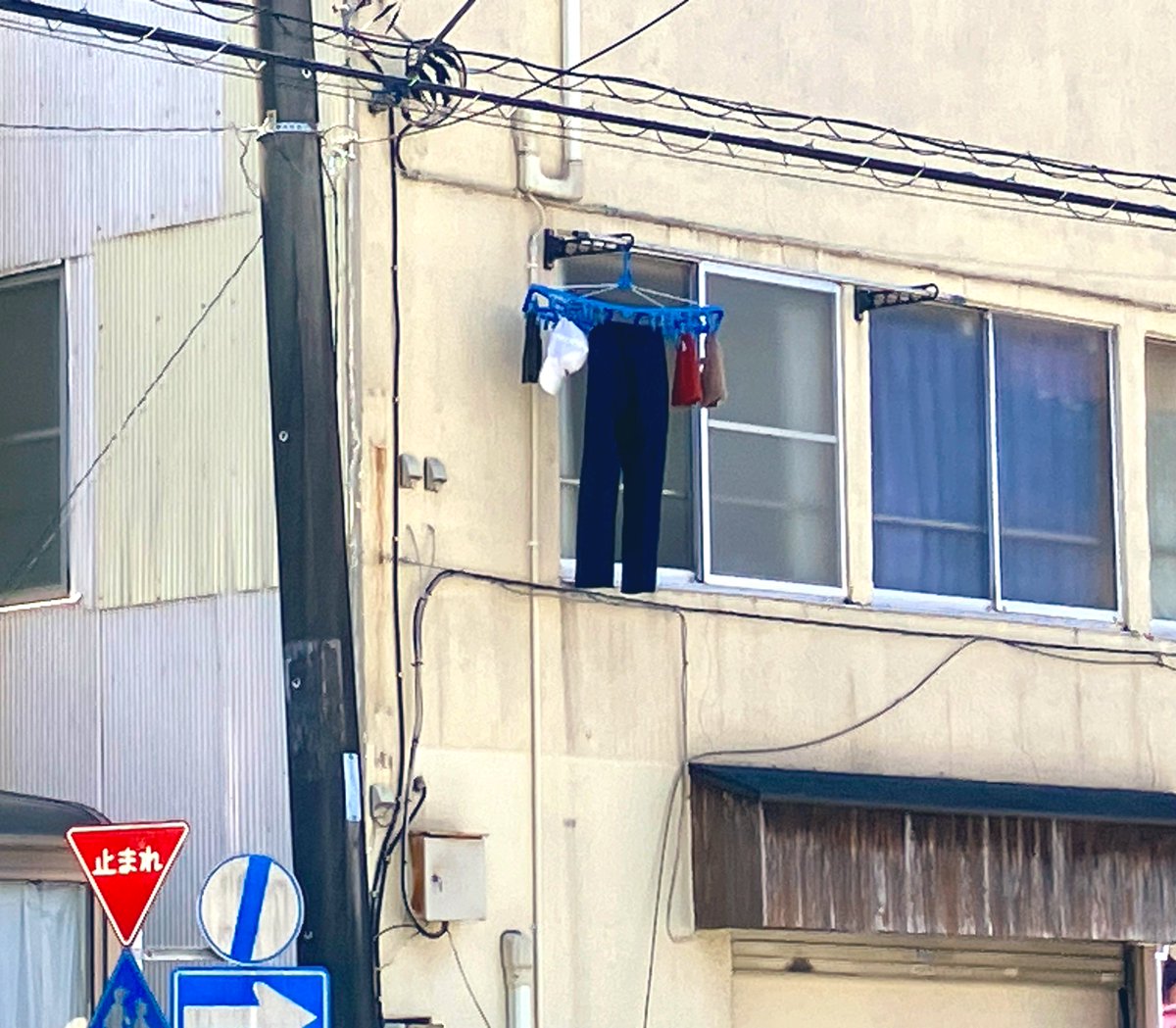 🦋みさき🦋™️ tweet media