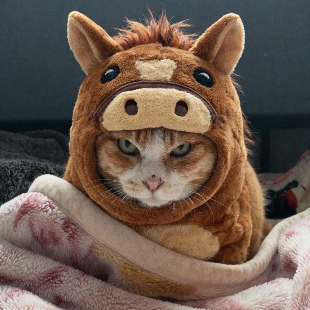 しろころ tweet media