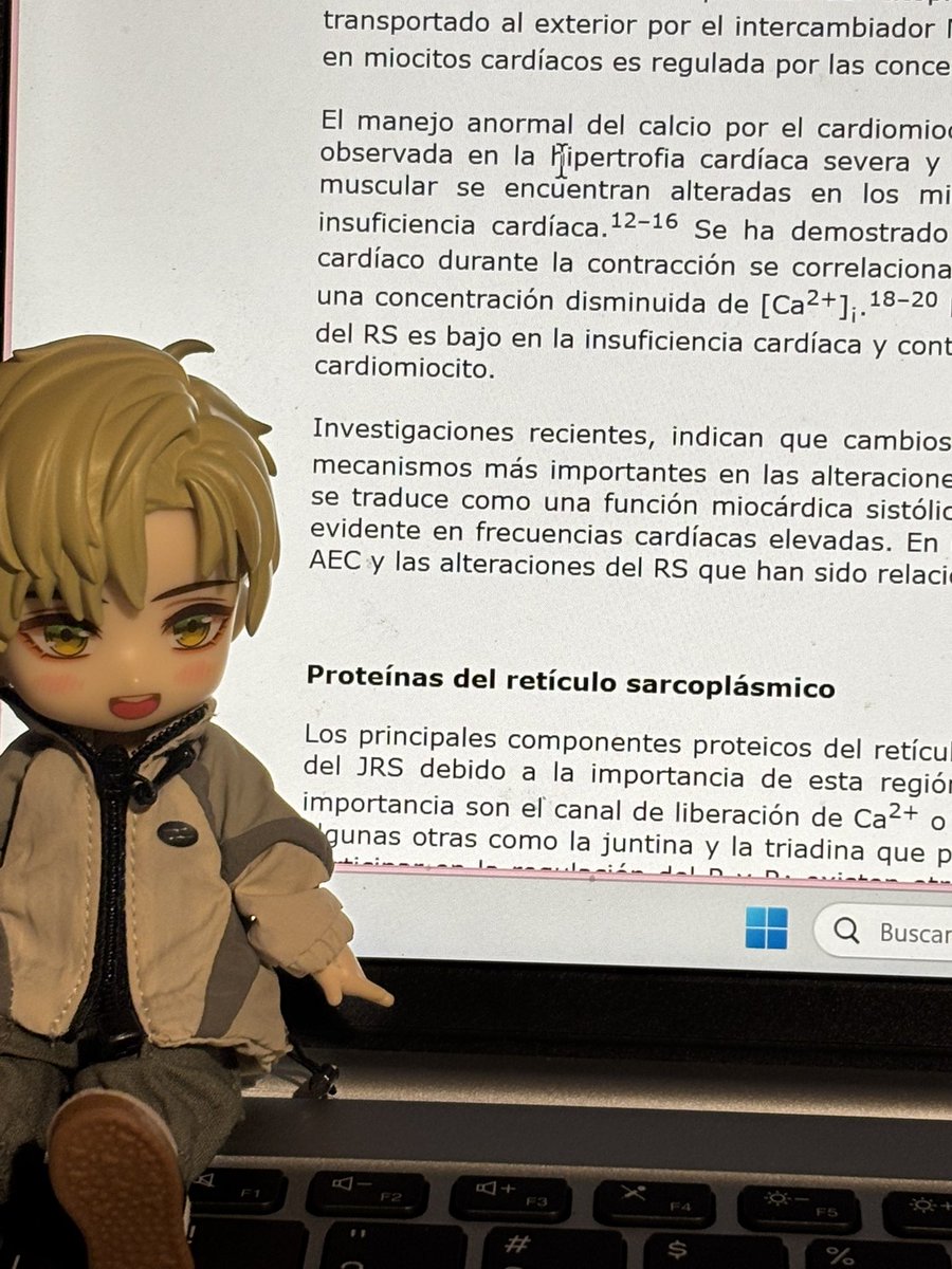 leonor𓂃˖ ࣪⊹ tweet media