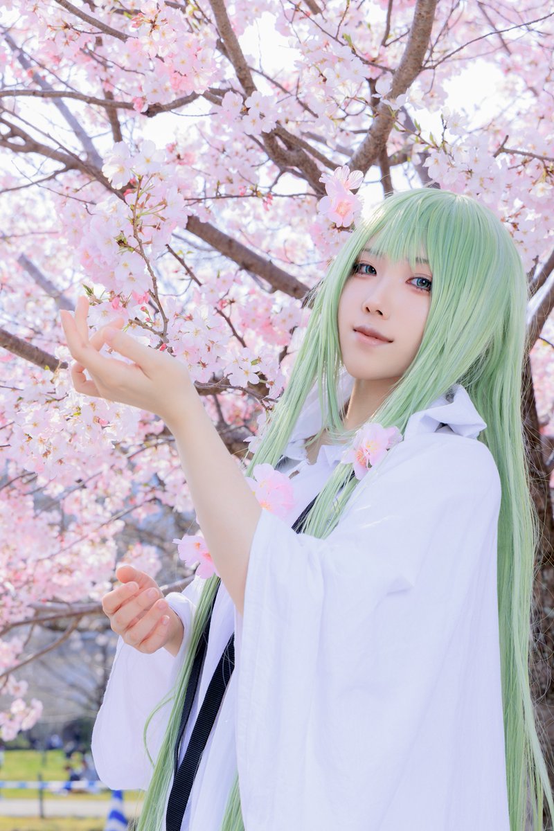 ︎︎︎︎⟡㐅ソ朩゚タのねも⟡ tweet media