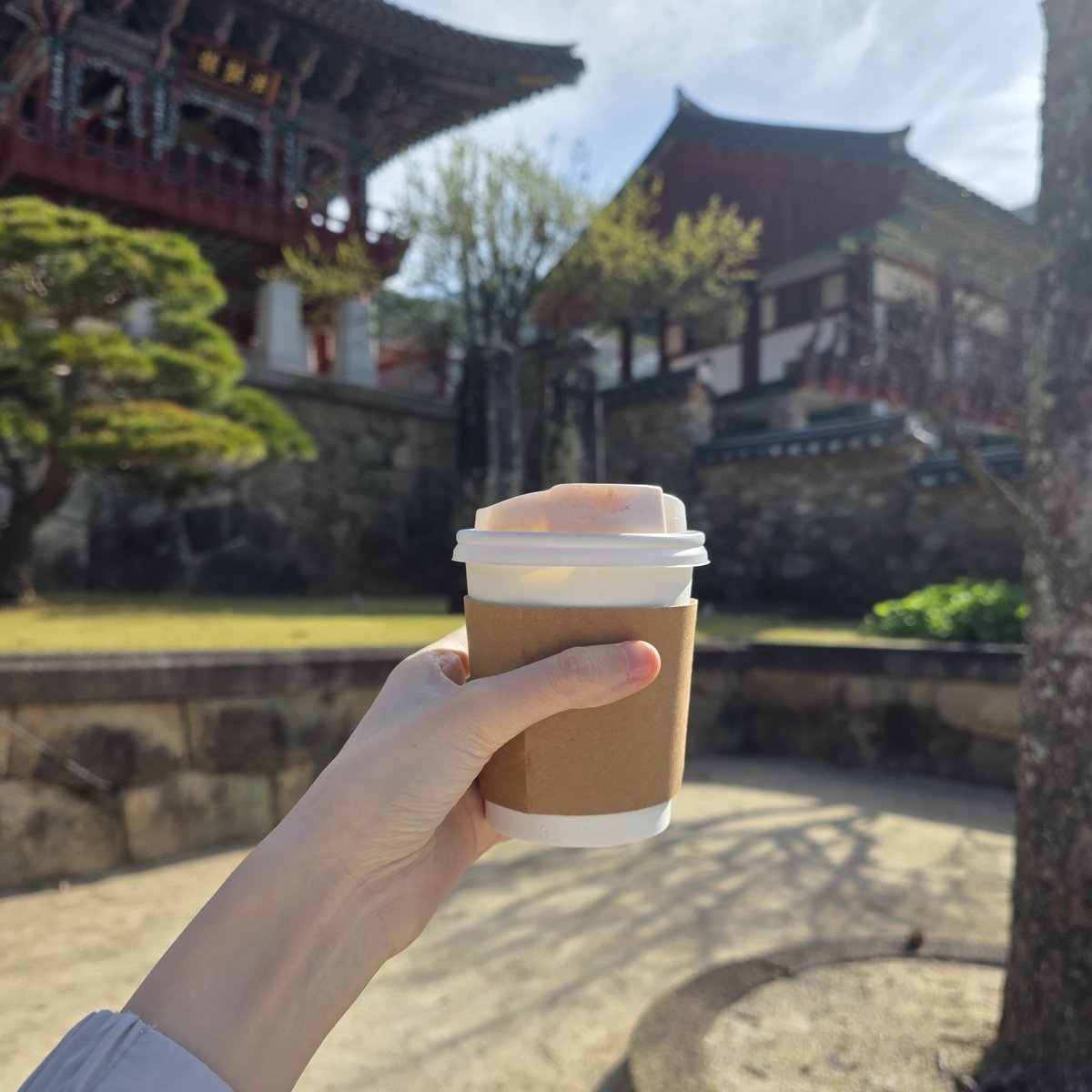 이사리 tweet media