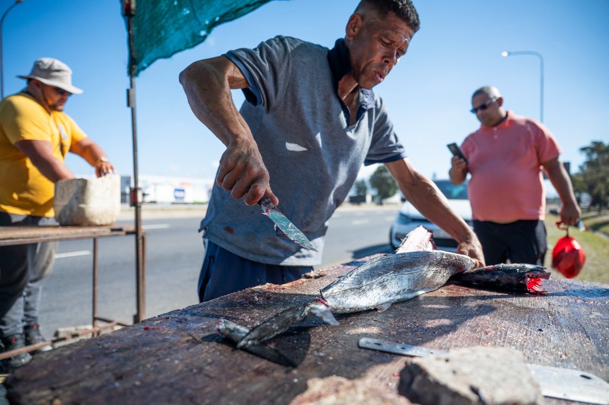 TheCapeArgus's tweet image. Snoek season hits Cape Town 🐟
Roadside hawkers line routes like Viking Way as Easter nears, keeping the pickled fish tradition alive. Fresh catch, straight from the bakkie.

📸 Armand Hough

#CapeTown #Snoek #Easter #LocalTradition