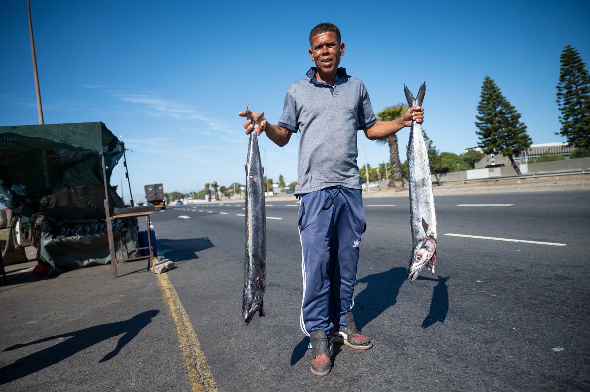 TheCapeArgus's tweet image. Snoek season hits Cape Town 🐟
Roadside hawkers line routes like Viking Way as Easter nears, keeping the pickled fish tradition alive. Fresh catch, straight from the bakkie.

📸 Armand Hough

#CapeTown #Snoek #Easter #LocalTradition