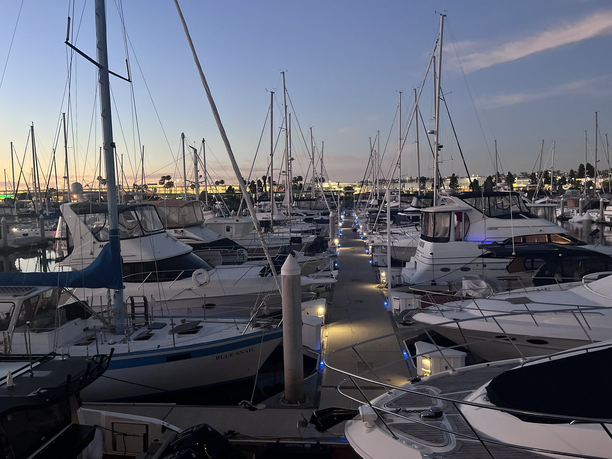 Sunshine tweet media