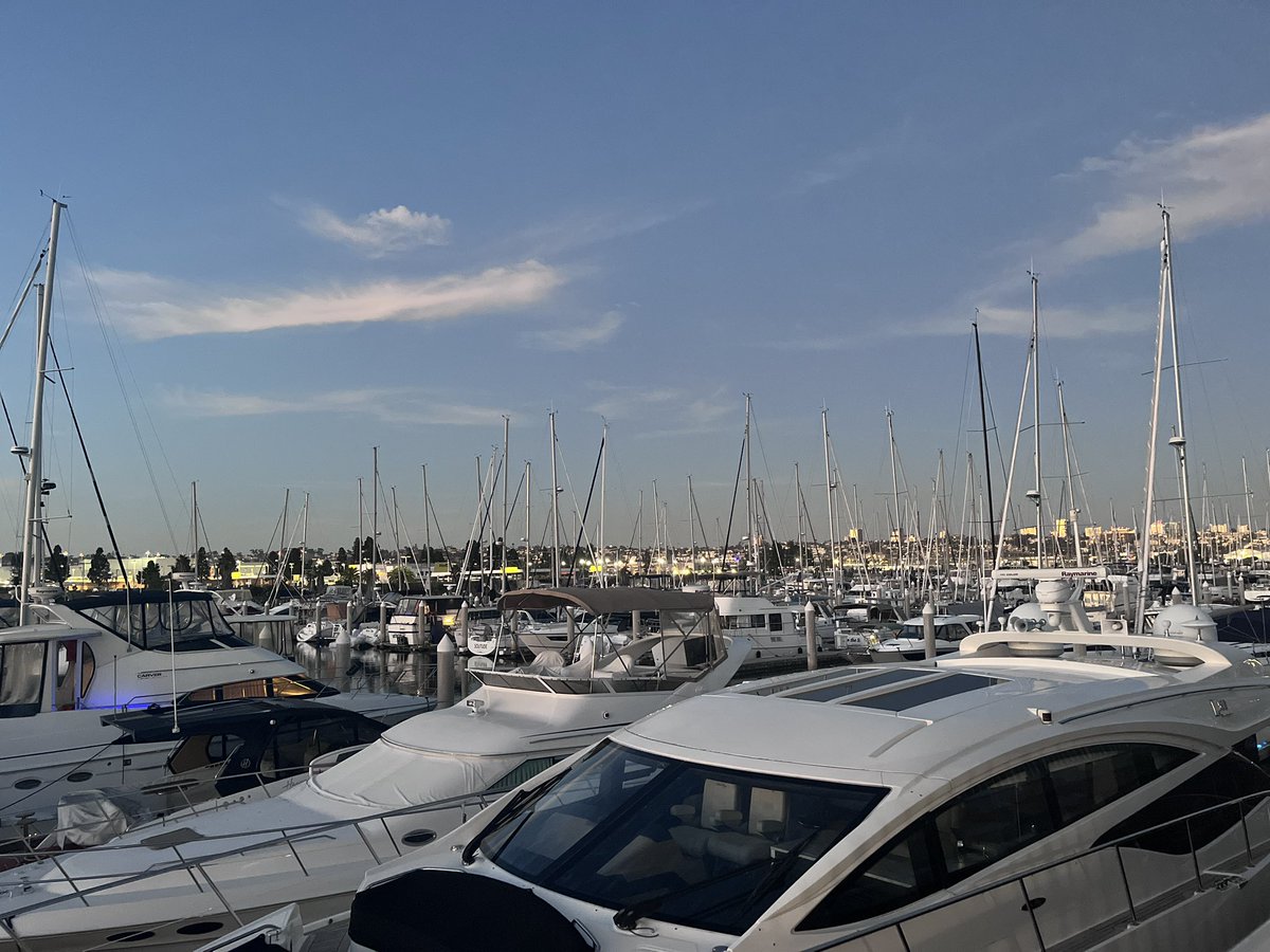 Sunshine tweet media