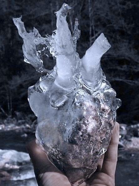 wren ⋆˙⟡♡ tweet media