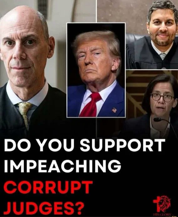 wolf_patriot737 tweet media