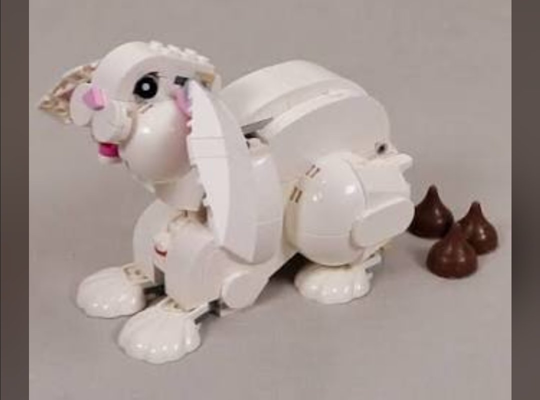 Qurious Cat tweet media