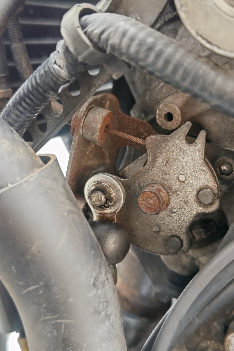 ライダ〜 tweet media