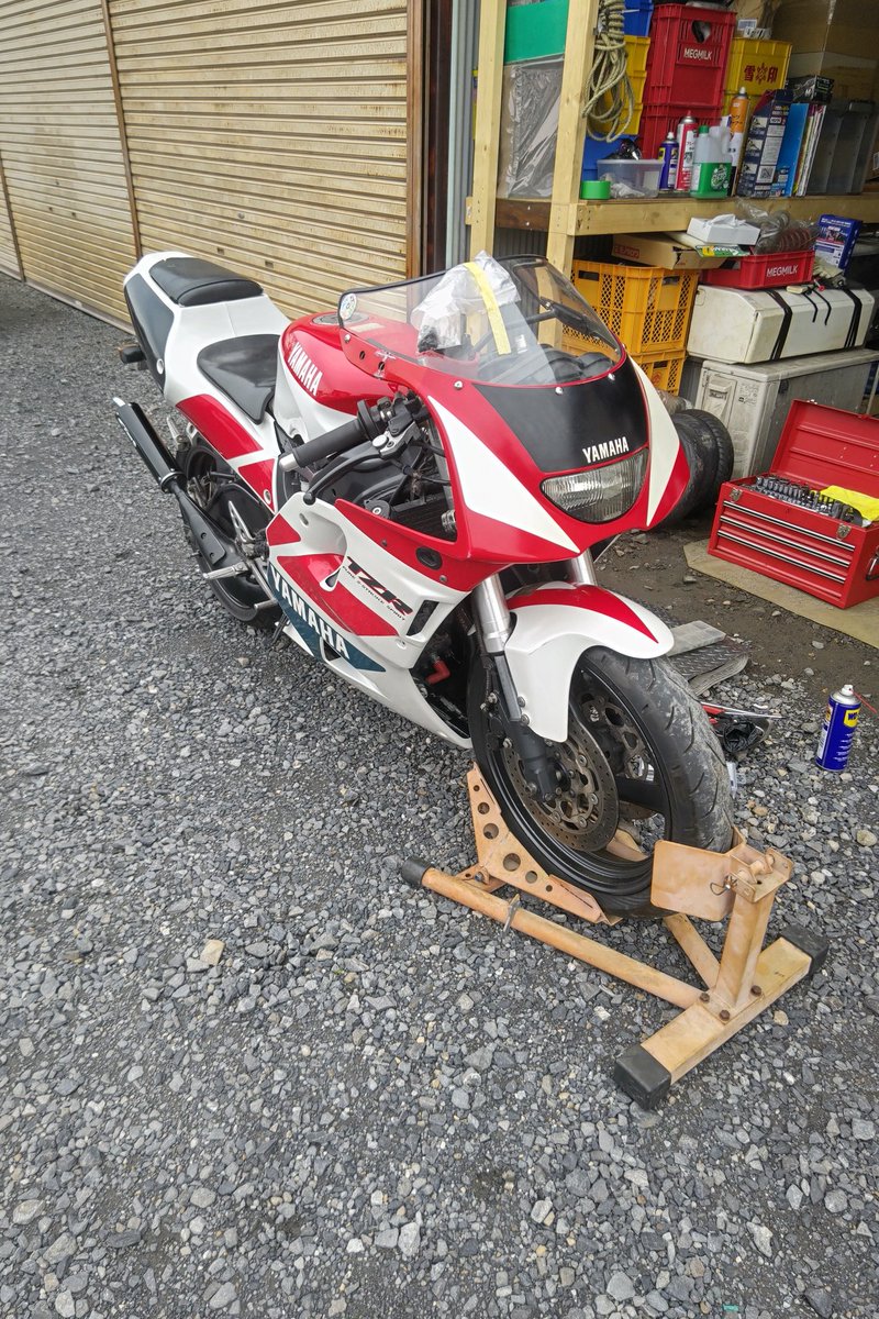 ライダ〜 tweet media