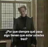 MariFer 🎀🐕 tweet media