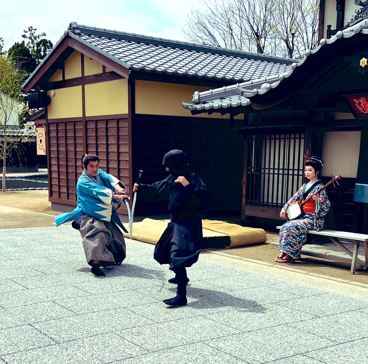 muriちゃん🇯🇵 tweet media