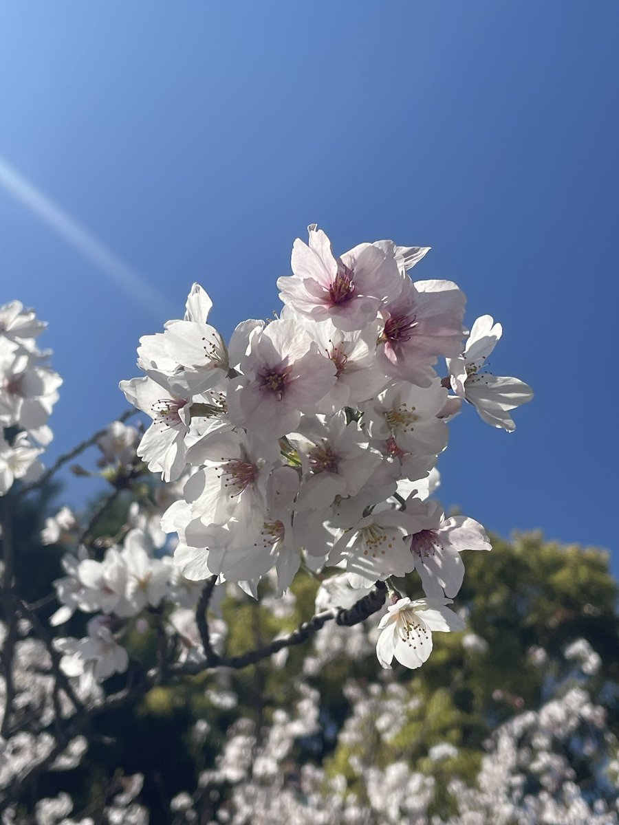 ❤️💙💛あゆみ💚🧡🤎 tweet media