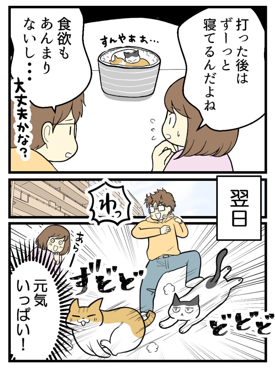 (1/2) 