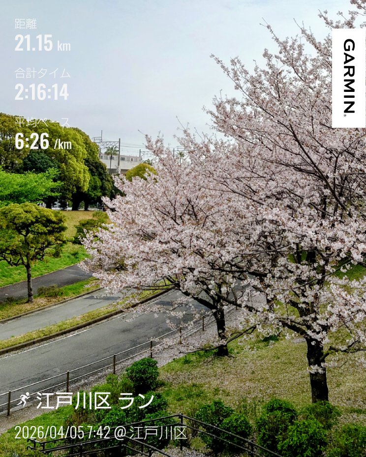 🌸2026 Yamada＠4/19チャレンジ富士五湖100km🗻 tweet media